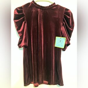 CeCe Rich Red Velvet Blouse